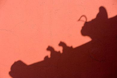 《游戏王：大师决斗》公布Steam配置需求 不支持中文